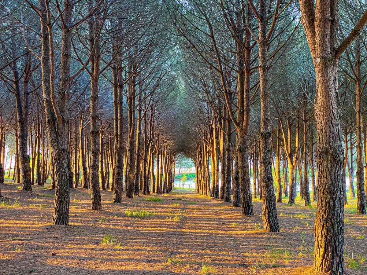 Popilia Country Resort Pizzo  Buitenkant foto
