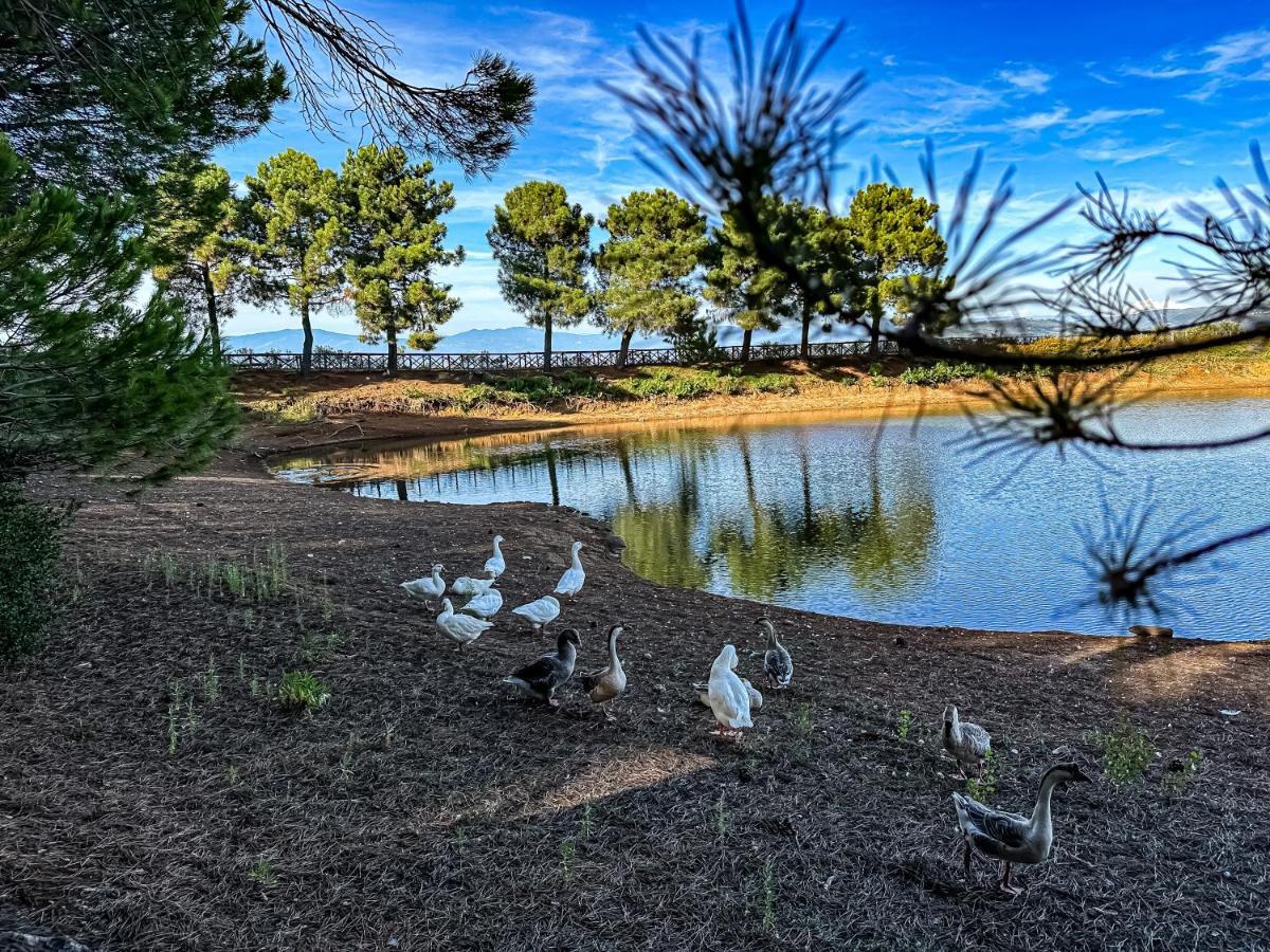 Popilia Country Resort Pizzo  Buitenkant foto