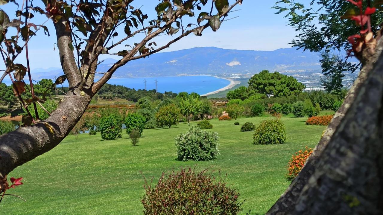 Popilia Country Resort Pizzo  Buitenkant foto